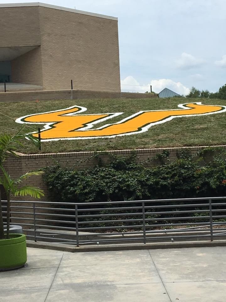 Large yellow and white 'UT' logo on a hillside near a building.