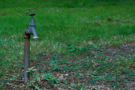 An old outdoor water tap surrounded by grass and soil.