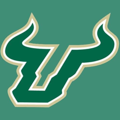 Stylized green bull logo with white outlines on teal background.