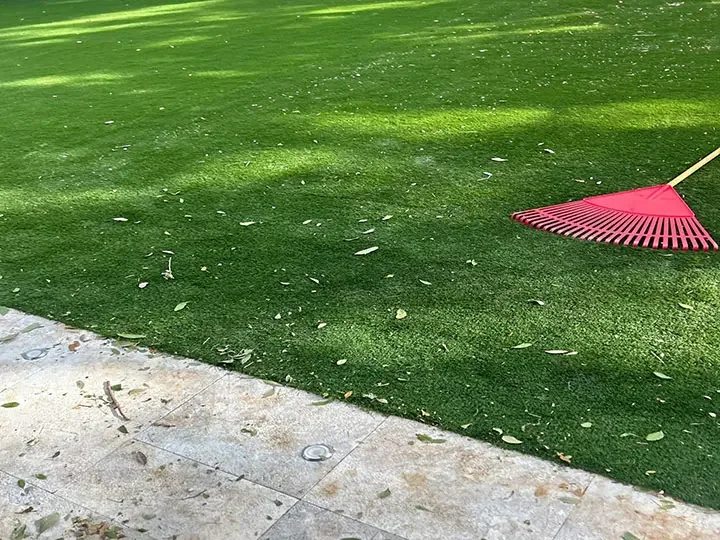 A green lawn with sunlight and a glimpse of a red picnic blanket.