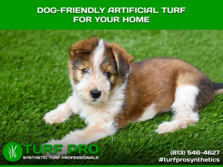 Dog-friendly Artificial Turf for Your Home A dog lying on artificial turf promoting dog-friendly turf for homes.